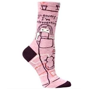 NEW Funny Novelty Socks | go away I'm introverting